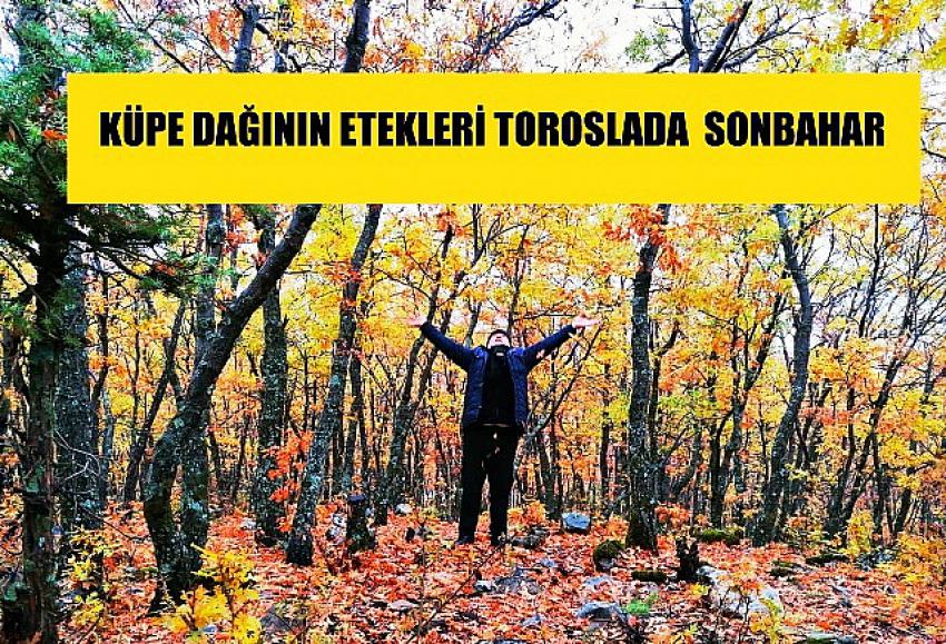 KÜPE DAĞINDA SONBAHAR  VİDEO- FOTO