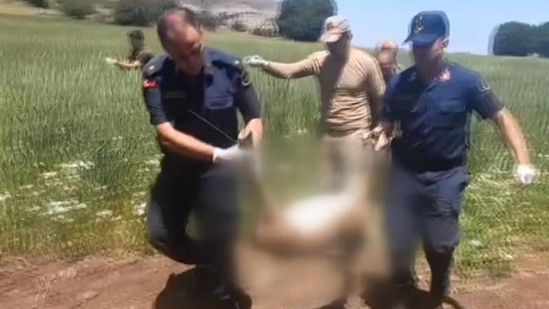 Malatya'da yaban keçisi avına 613 bin 980 lira ceza