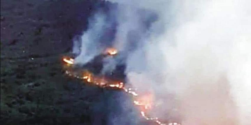 Manavgat'ta  başlayan yangın Konya sınırına dayandı. 