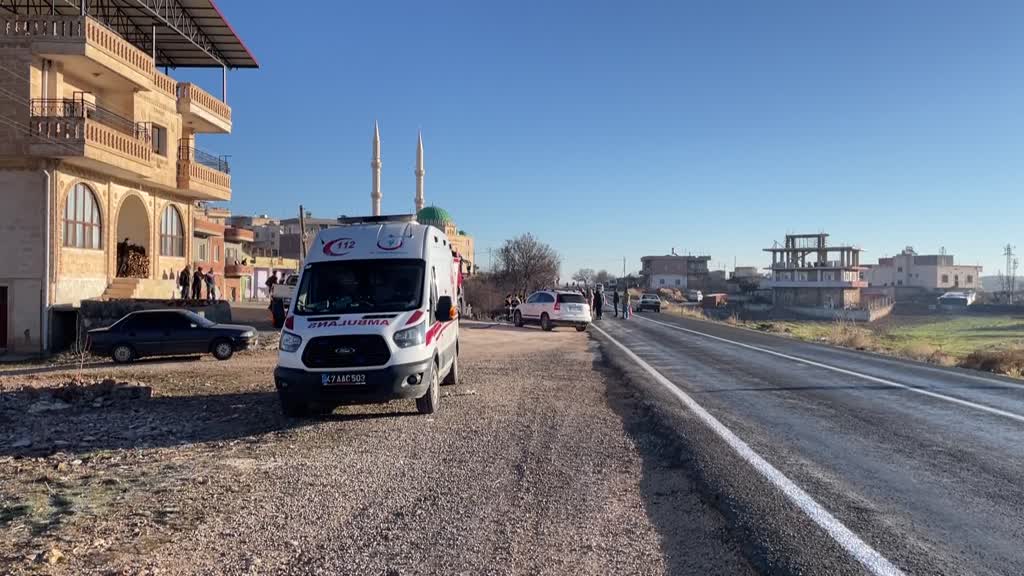 MARDİN - Minibüs devrildi, 6 kişi öldü, 5 kişi yaralandı