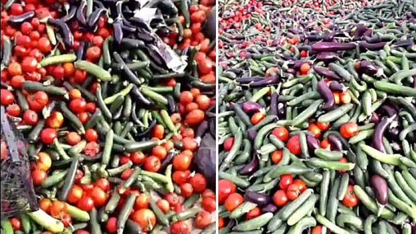 Marketlerde fiyatlar cep yakarken tarlada sebzelerden çöp dağları oluştu