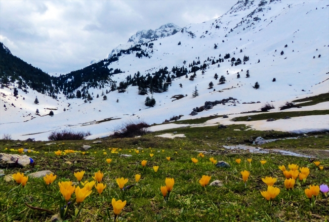MART KAPIDAN   BAKTIRDI