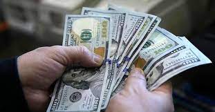 Merkez Bankası yıl sonu dolar ve enflasyon tahminini açıkladı