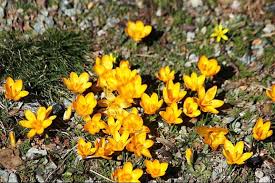 Meteoroloji yeni tahminini açıkladı: Havalar ısınıyor...