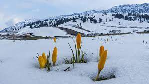 Meteorolojiye göre Çarşamba günü Konya'da kar yağışı da bekleniyor