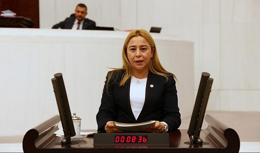  MHP Konya Milletvekili Esin Kara, İYİ Partili Türkkan'ı kınadı: