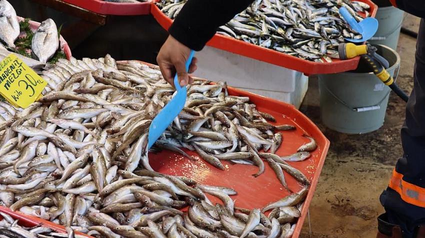 Müsilaj varken balık yemek güvenli mi? Balık fiyatlarına zam gelecek mi?