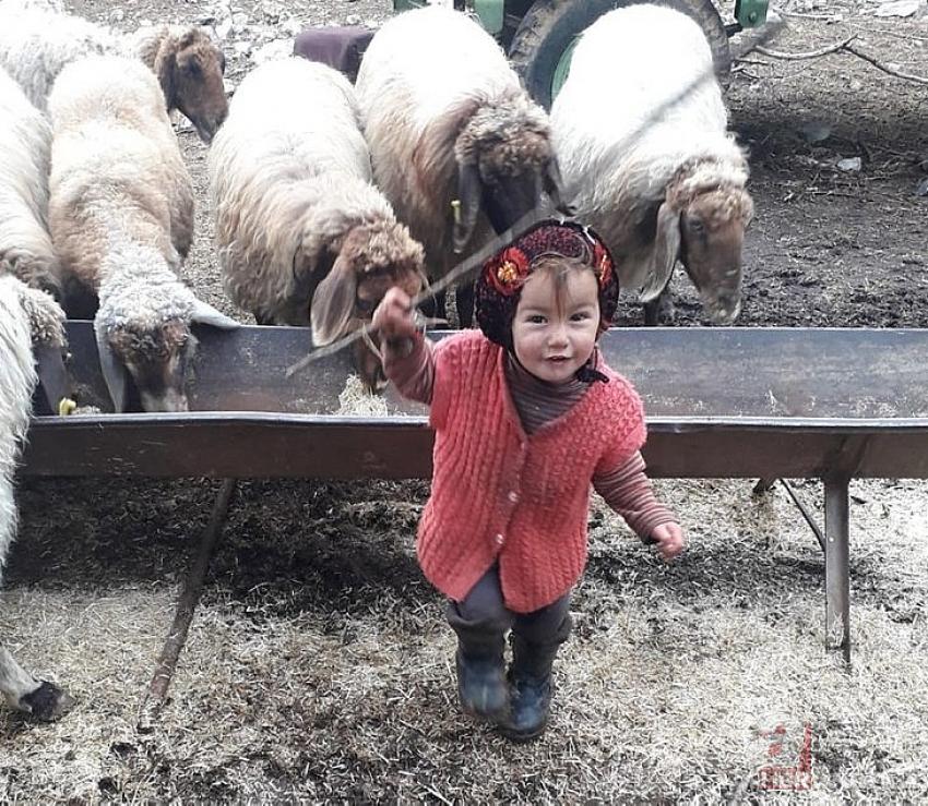 Müslüme’nin ölümündeki sır perdesi aralanmaya çalışılıyor