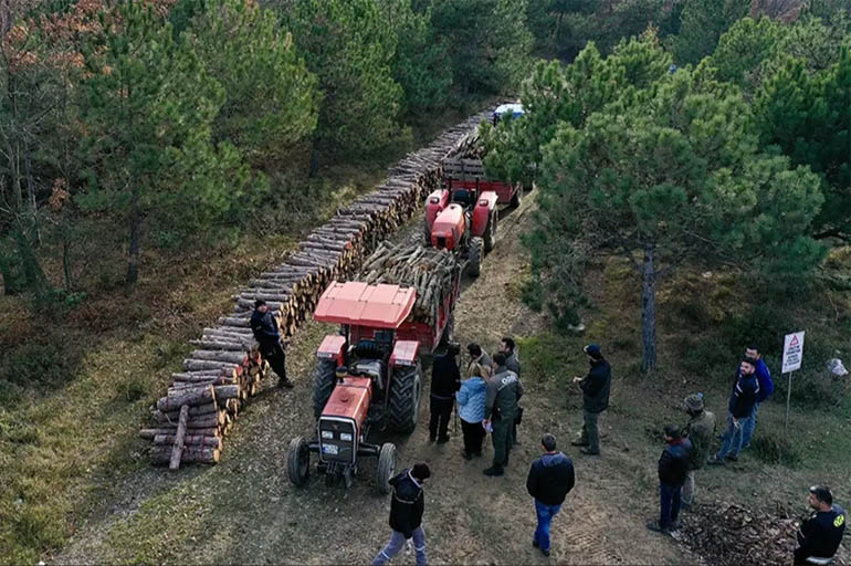 Orman köylüleri "5 Ekim'den sonra  üçte birini ödeyecek