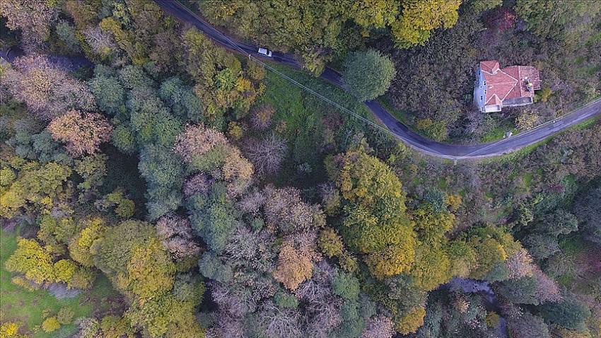 Ormana bitişik parselde yapı inşa edilemeyecek