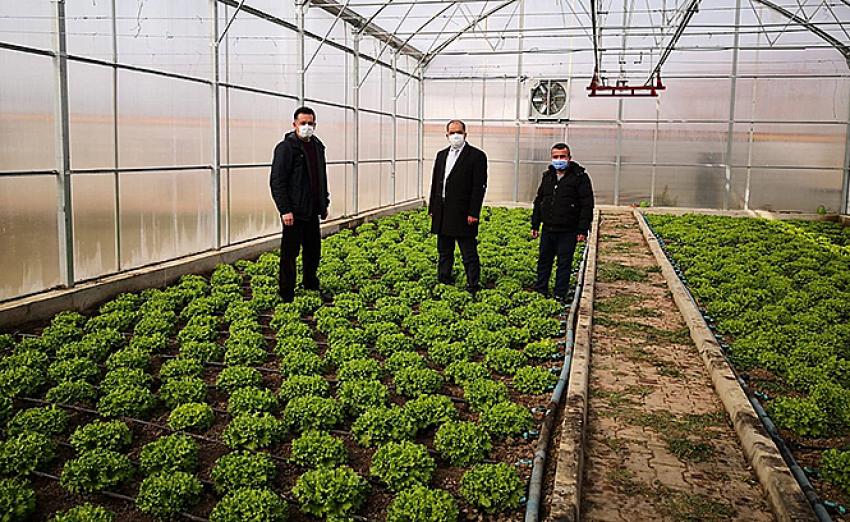  Özel Eğitim  öğrencilerinin serasında hasat zamanı