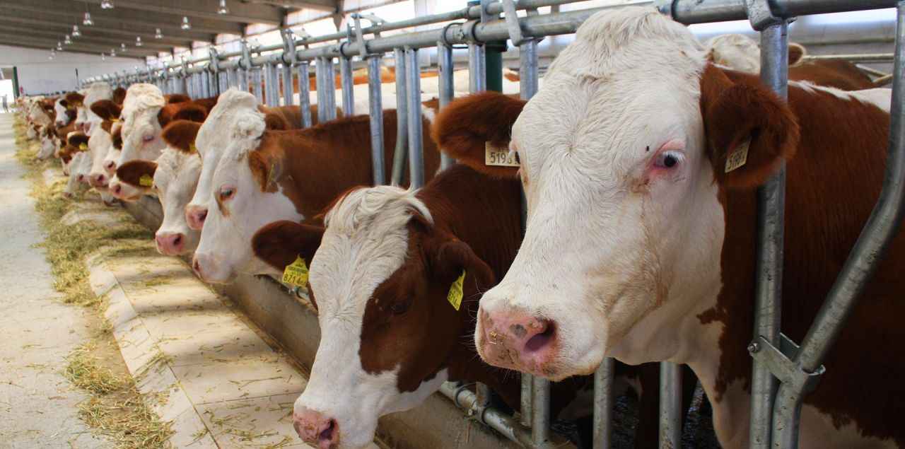 Para bugün hesaba yatacak: Açıklamayı Bakan İbrahim Yımaklı yaptı