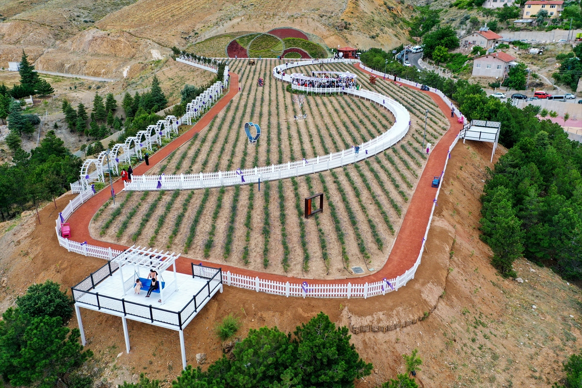 "Meram Lavanta Bahçesi" açıldı