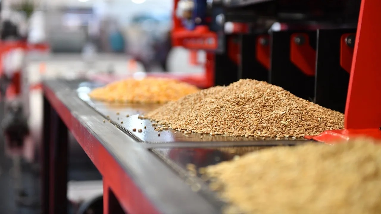 Ramazan'da hububat fiyatlarında artış olacak mı?