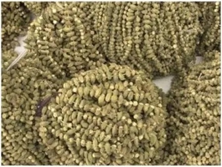 RAMAZAN ÖNCESİ ÇİÇEK  BAMYA ALTINLA  YARIŞIYOR