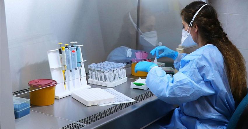 Sağlık Bakanı Koca, sağlık çalışanlarına destek istedi