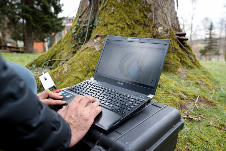 Sağlıklı ağaç için 'yılda bir tomografi' tavsiyesi