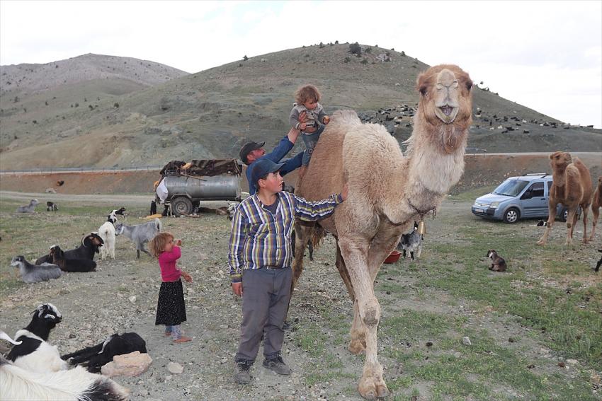 Sarıkeçili Yörükleri'nin zorlu göçü devam ediyor