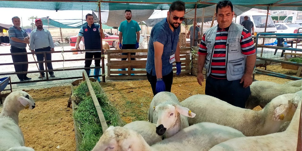 Satılamayan kurbanlıkları Et ve Süt Kurumu satın alacak