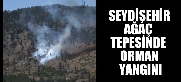 SEYDİŞEHİR AĞAÇ  TEPESİNDE  ORMAN YANGINI