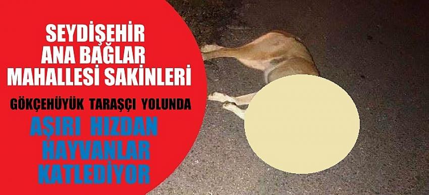 Seydişehir Anabağlar Mahallesi Sakinleri   Tepkili