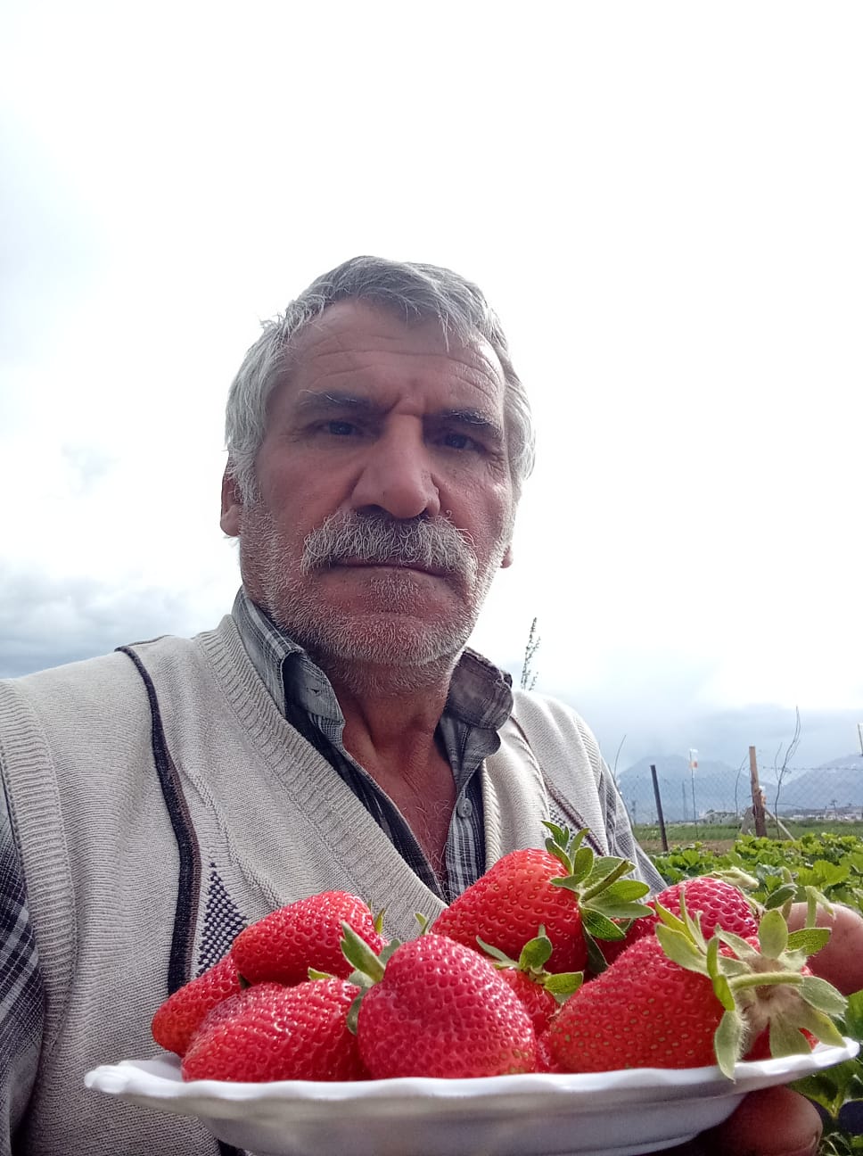 SEYDİŞEHİR ÇİLEĞİ GÖRÜCÜYE ÇIKTI