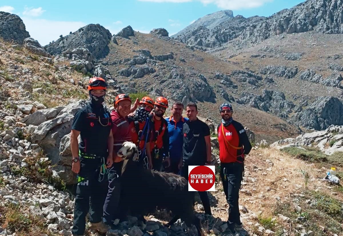 Seydişehir'de 2535 Rakımlı Küpe Dağında 50 m Çukura düşen keçiyi AFAD kurtardı