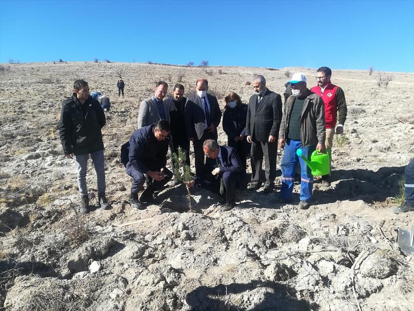 Seydişehir'de 6 Bin 193 fidan toprakla buluştu