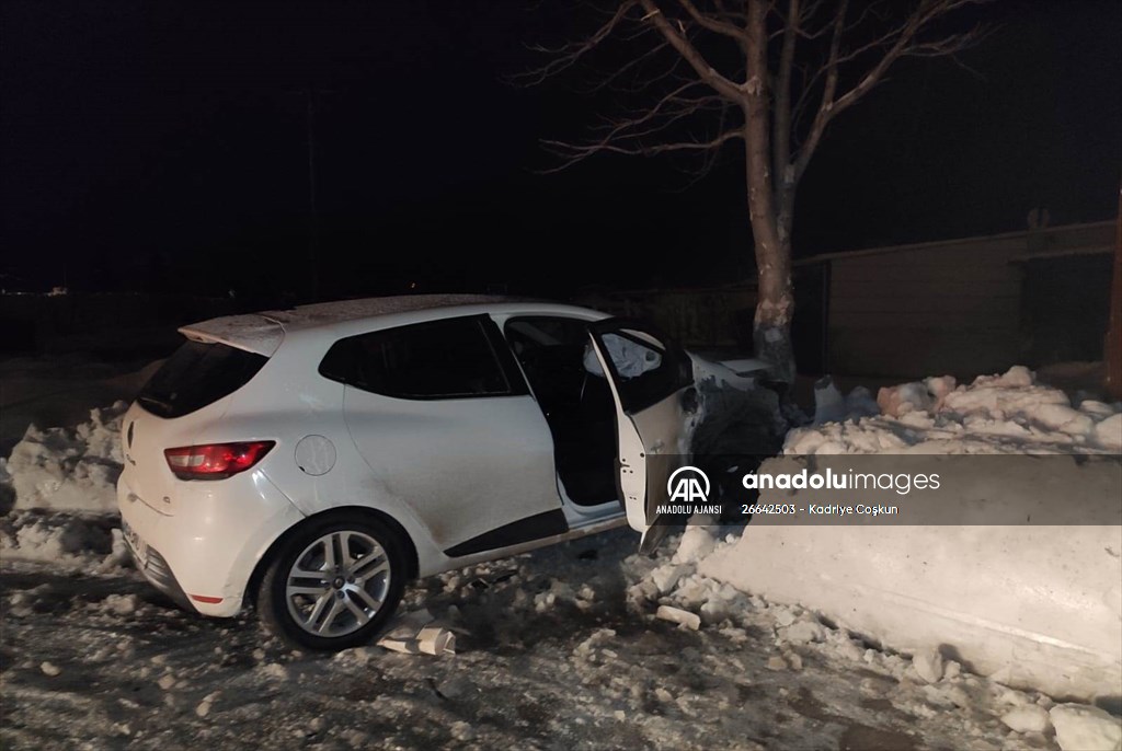 Seydişehir'de ağaca çarpan otomobil sürücüsü yaralandı