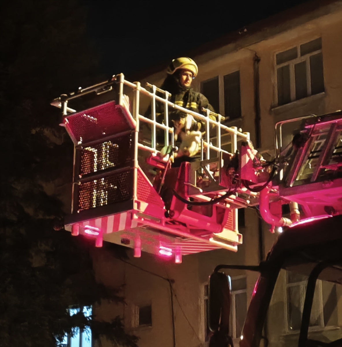 Seydişehir'de  ağaçta mahsur kalan kediyi itfaiye ekibi kurtardı