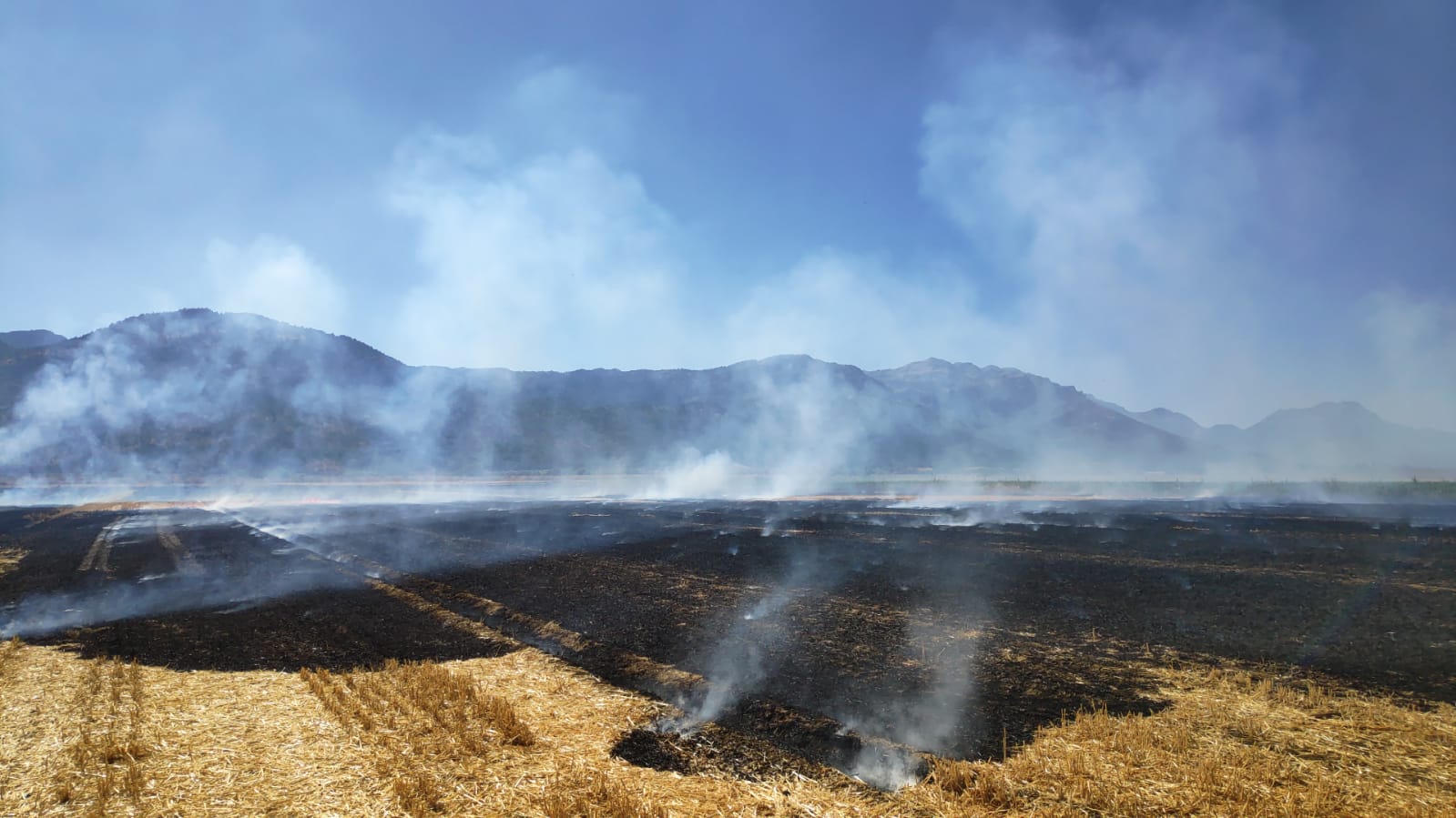 Seydişehir'de Anız Yangını