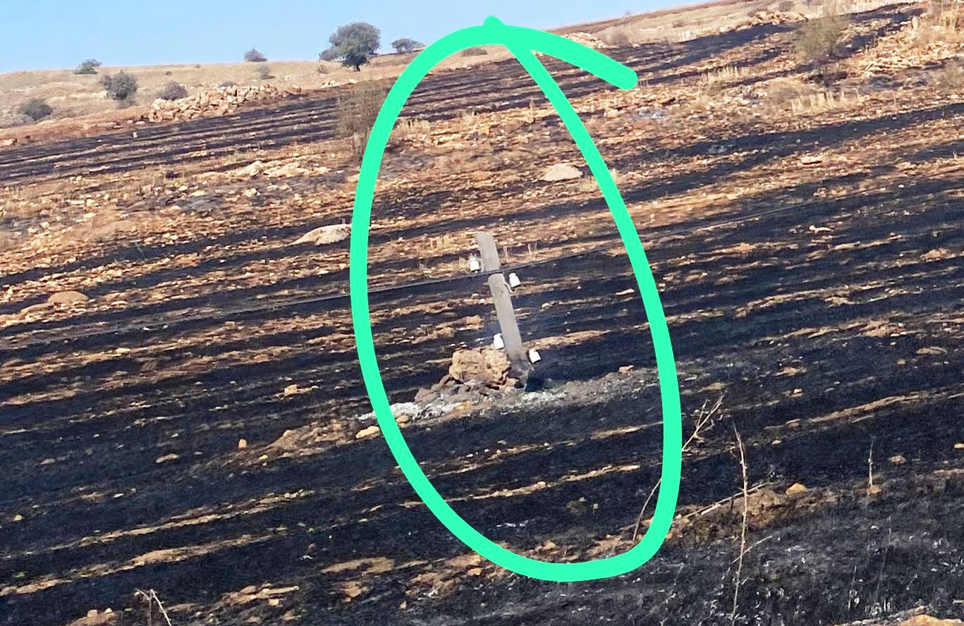 Seydişehir'de Anız yangınında telefon direkleri yandı