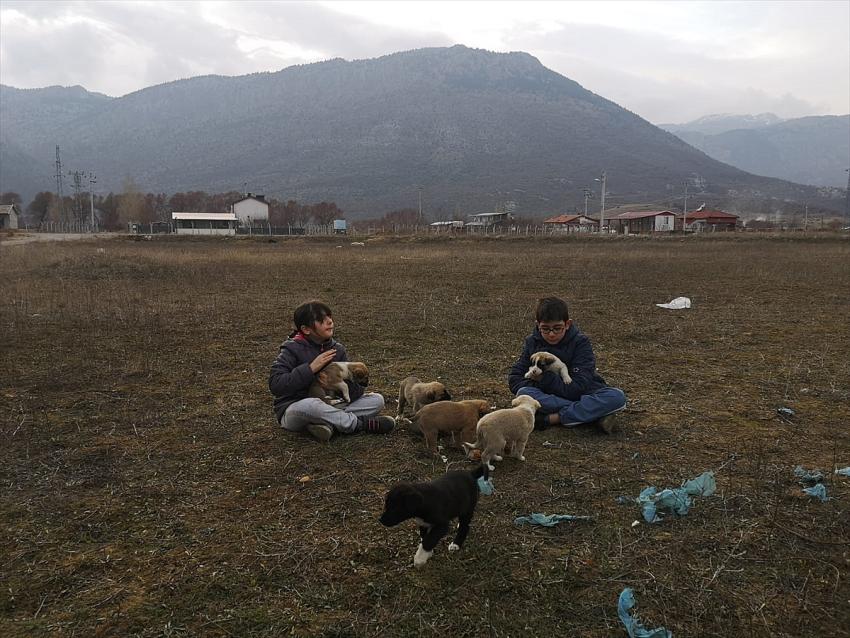 Seydişehir'de Annelerinin doyuramadığı yavru köpeklere iki küçük kardeş sahip çıktı