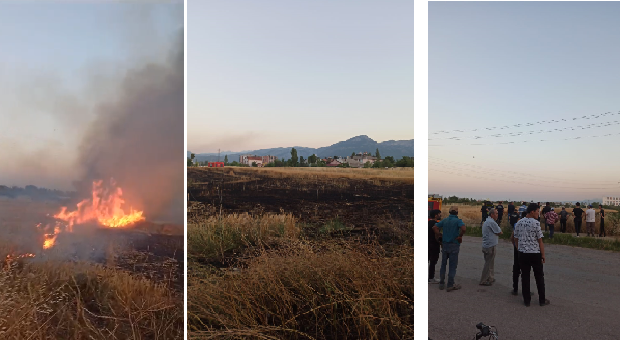 Seydişehir'de buğday tarlası yandı