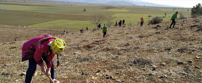 Seydişehir'de Çaltepe'de meşe palamudu ve badem ekildi