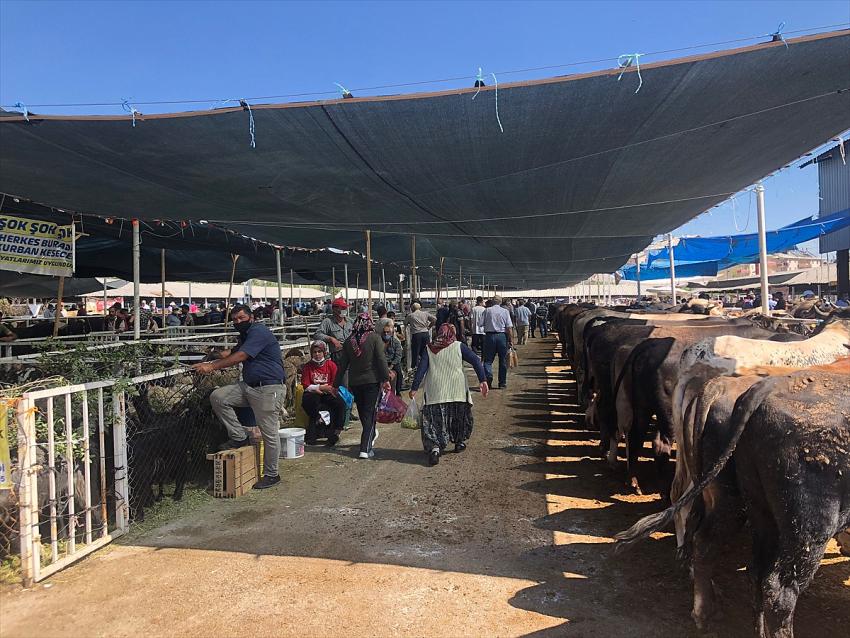  Seydişehir'de canlı hayvan pazarı açıldı