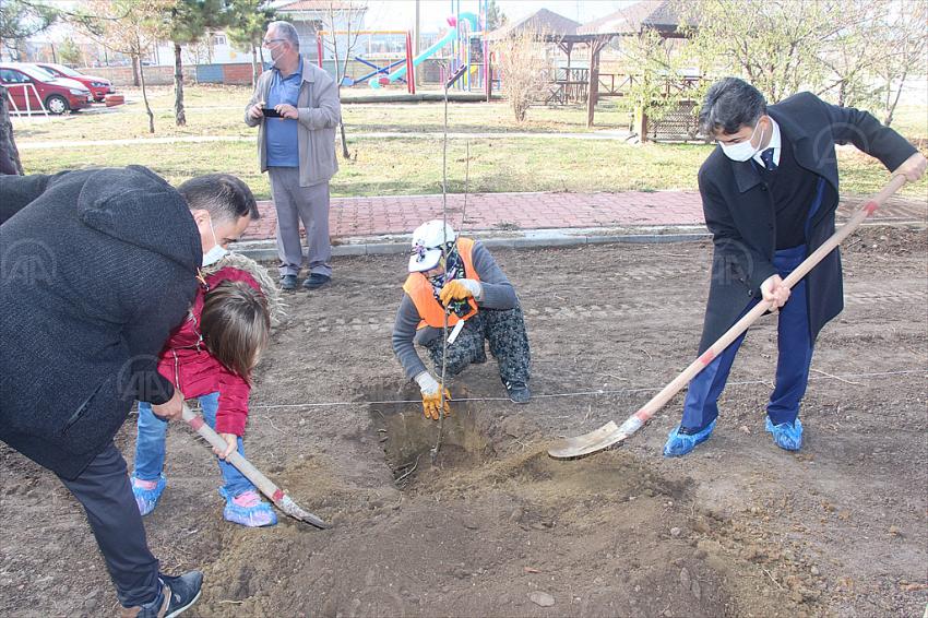  Seydişehir'de engelli öğrenciler meyve fidanı dikti