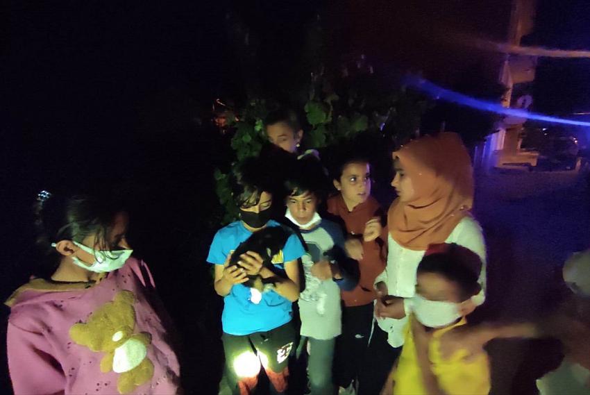  Seydişehir'de evin çatısında mahsur kalan kediyi itfaiye ekipleri kurtardı