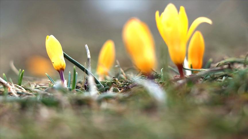 Seydişehir'de havalar ısınıyor