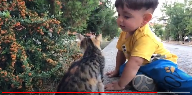 Seydişehir'de Hayvan Sevgisi ile yetişen çocuk VİDEOHABER