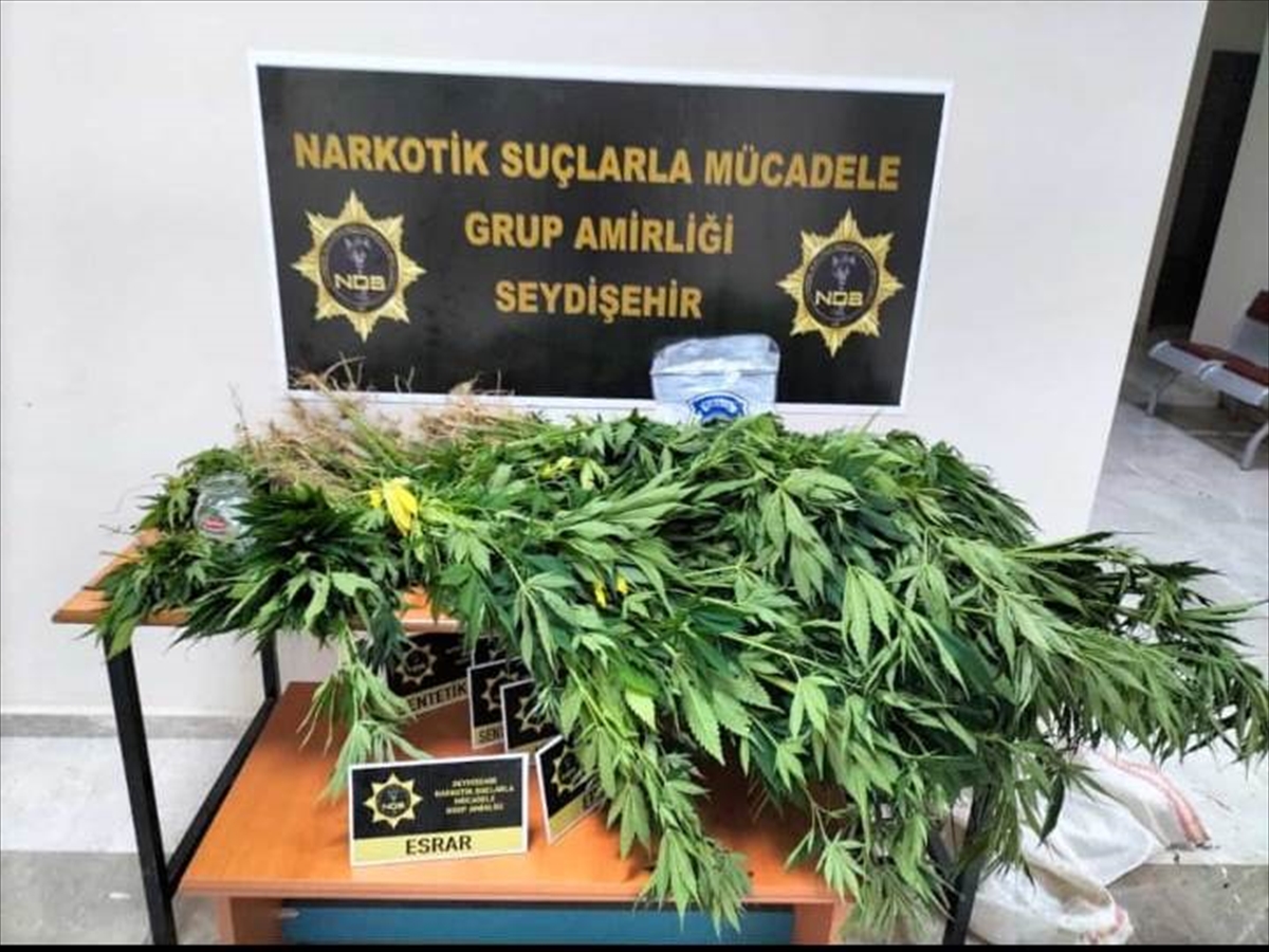 Seydişehir'de Hint keneviri yetiştiren şüpheli yakalandı