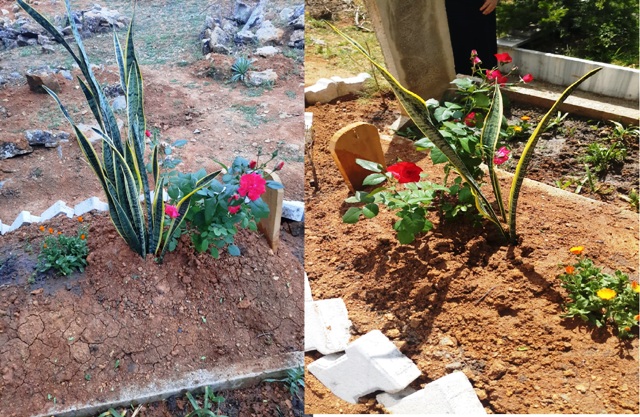 Seydişehir de hırsızlar bir mezardaki çiçeği çaldılar.