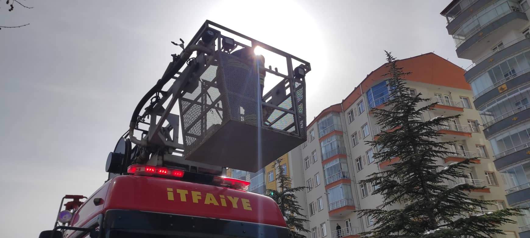 Seydişehir'de  İtfaiyeden  kedi kurtarma operasyonu