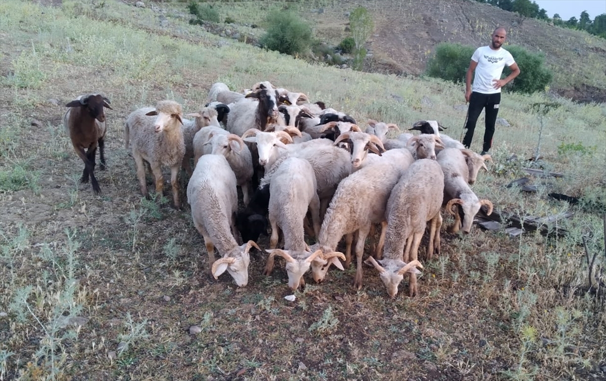 Seydişehir'de kaybolan 21 koyun dron ile bulundu