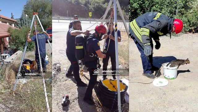 Seydişehir'de kuyuya düşen kedi boya kutusu yardımıyla kurtarıldı