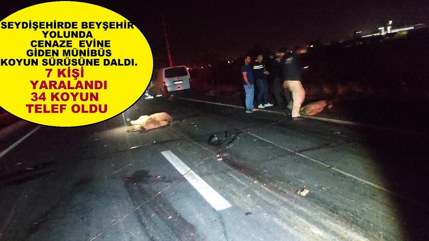 Seydişehir’de minibüs sürüye daldı: 7 yaralı! 34 koyun telef oldu!