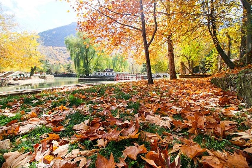 Seydişehir'de sonbaharın doğal güzellikleri fotoğraflandı VİDEO HABER