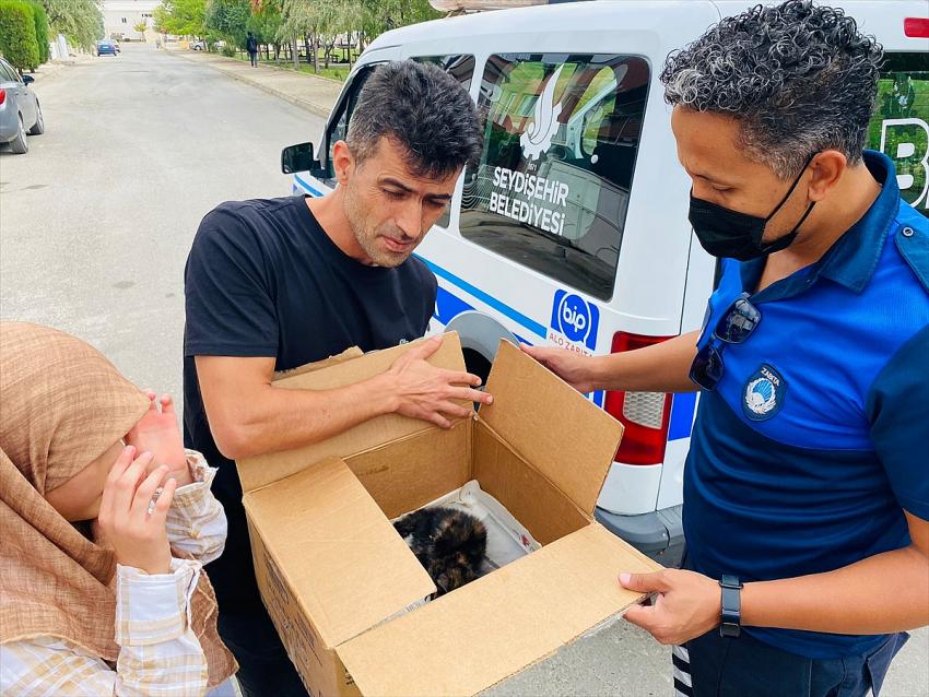 Seydişehir'de yaralı bulunan kedi tedavisi yapıldıktan sonra barınağa teslim edildi