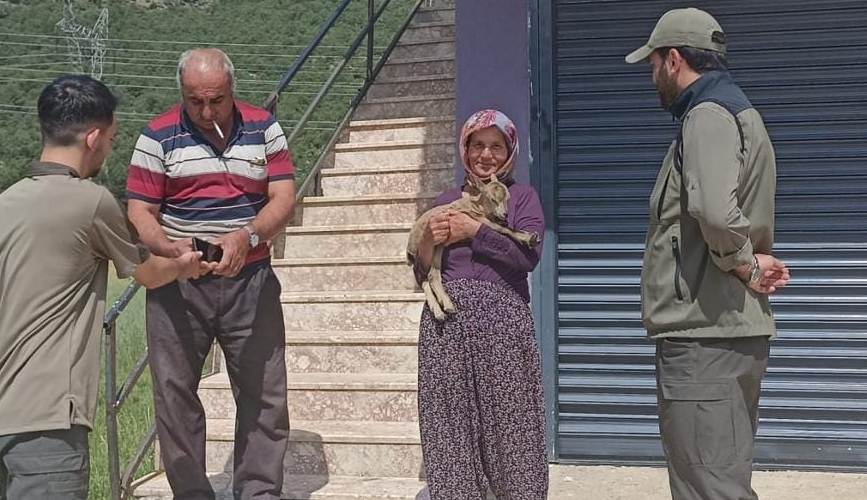 Seydişehir'de yaralı  halde   bulunan  yavru  yaban keçisi   tedavi alındı.
