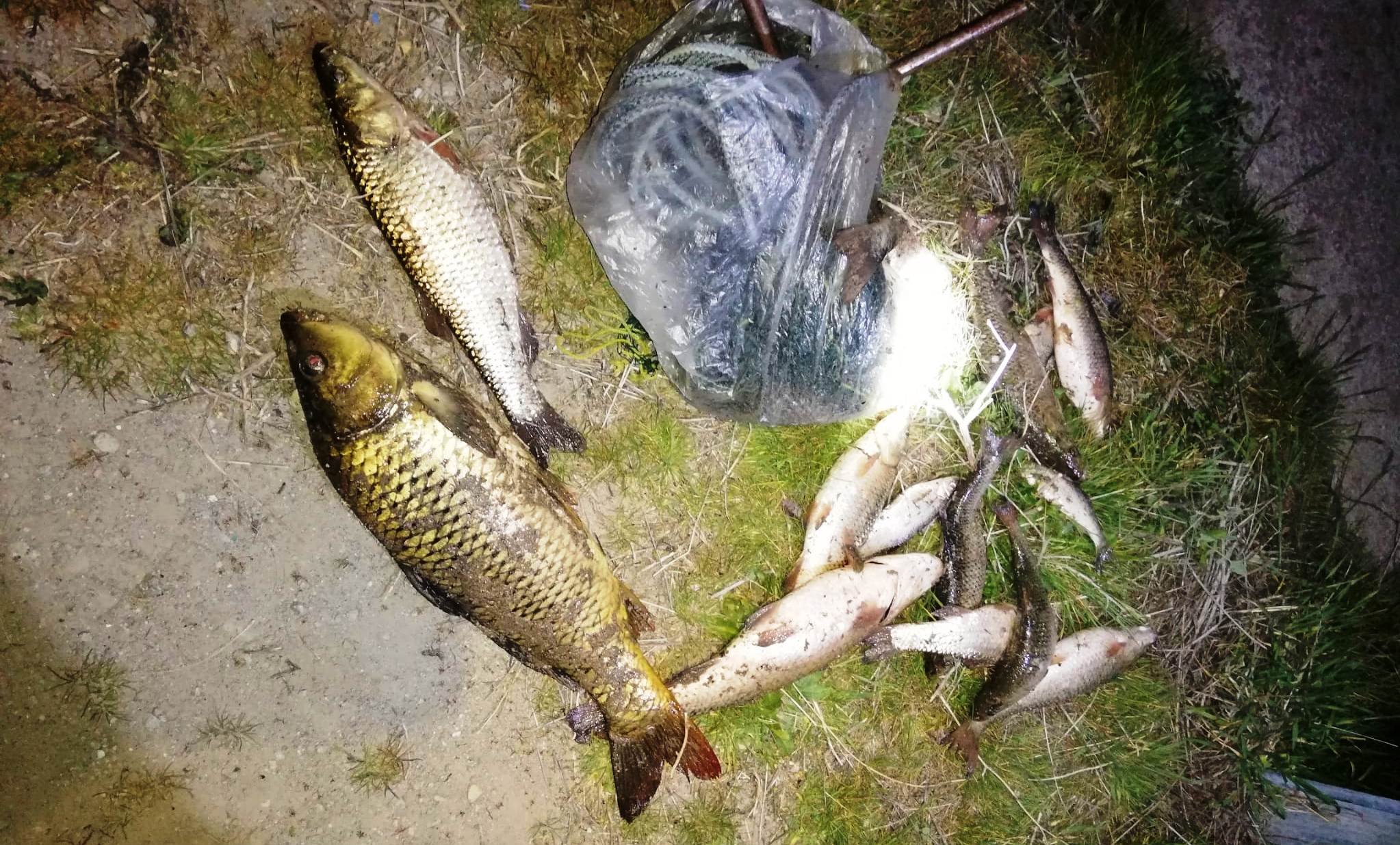 Seydişehir'de Yasak Av denetimi  yapıldı